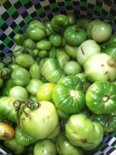 green tomatoes